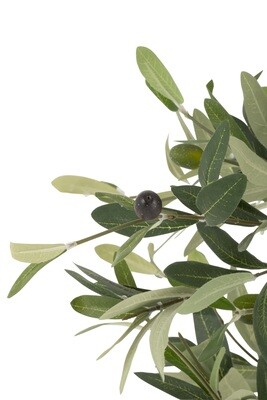 Olive Tree In Pot Plastic Green Large