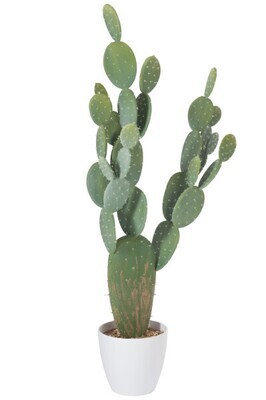 Cactus+Pot Plastic Green/Melamine White Xl