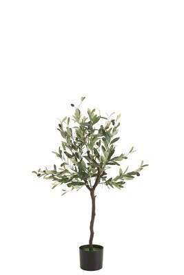 Olive Tree In Pot Plastic Green Medium