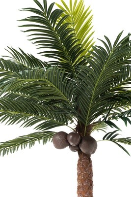 Palm Tree 4 Coconuts In Pot Plastic Green