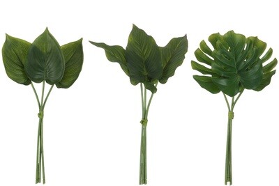 Philodendron Bundle Plastic Green Assortment Of 3