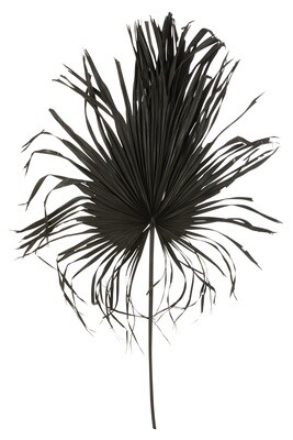 Palmleaf Deco Palmtree Black