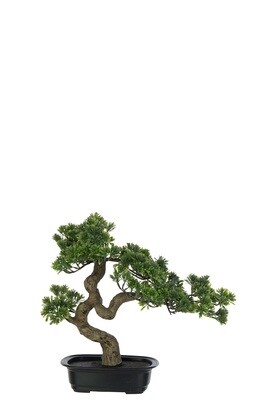 Podocarpus Bonsai Artificial Green Small