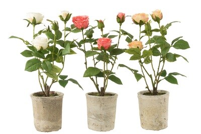 Rose 5 Heads In Pot Plastic/Textile Yellow/Green