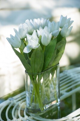 Tulips In Vase Oval Plastic Glass White