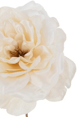 Rose Open Single Spray Plastic Cream/Gold