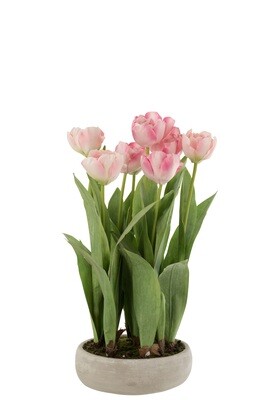 Tulips In Pot Cement Grey Plastic Pink/Green