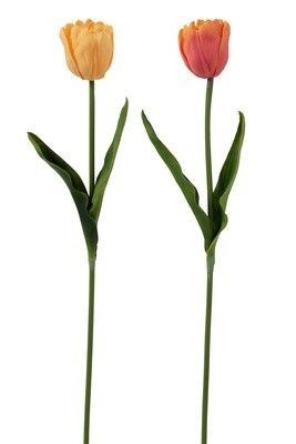 Tulip Singular Fresh Touch Orange/Coral Assortment Of 2