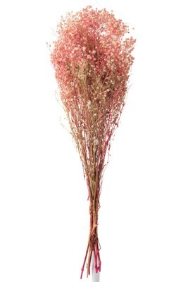Bundle Gypsophila Dried Pink