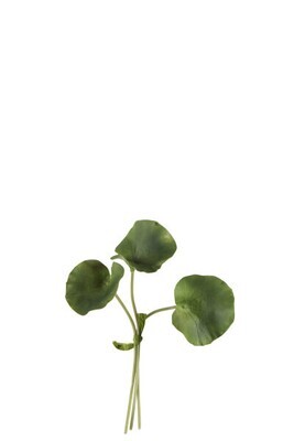 Bundel Lotus Leaf Plastic Green