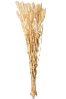 Bundle Feather Bunnytail Dried Beige