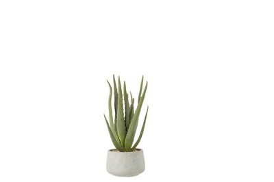 Aloe+Pot Synthetic Material Green/Grey Small