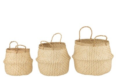 Set 3 Baskets Retractable Seagrass White