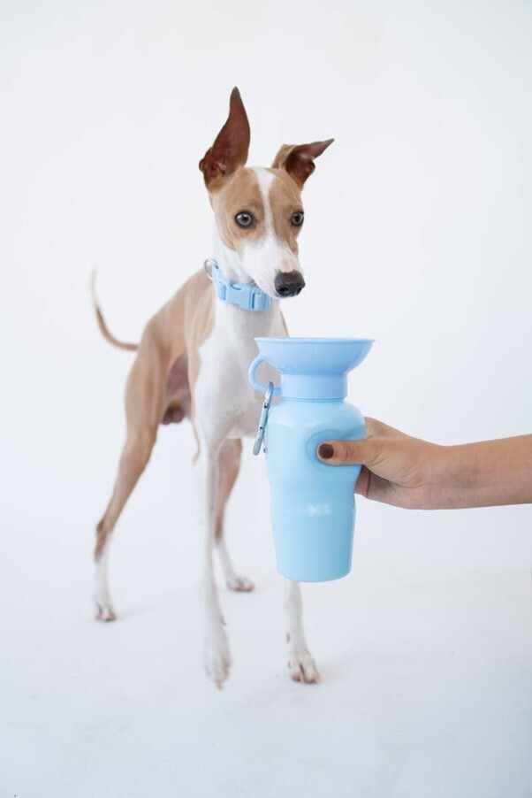Classic Waterfles voor honden - Hemelsblauw