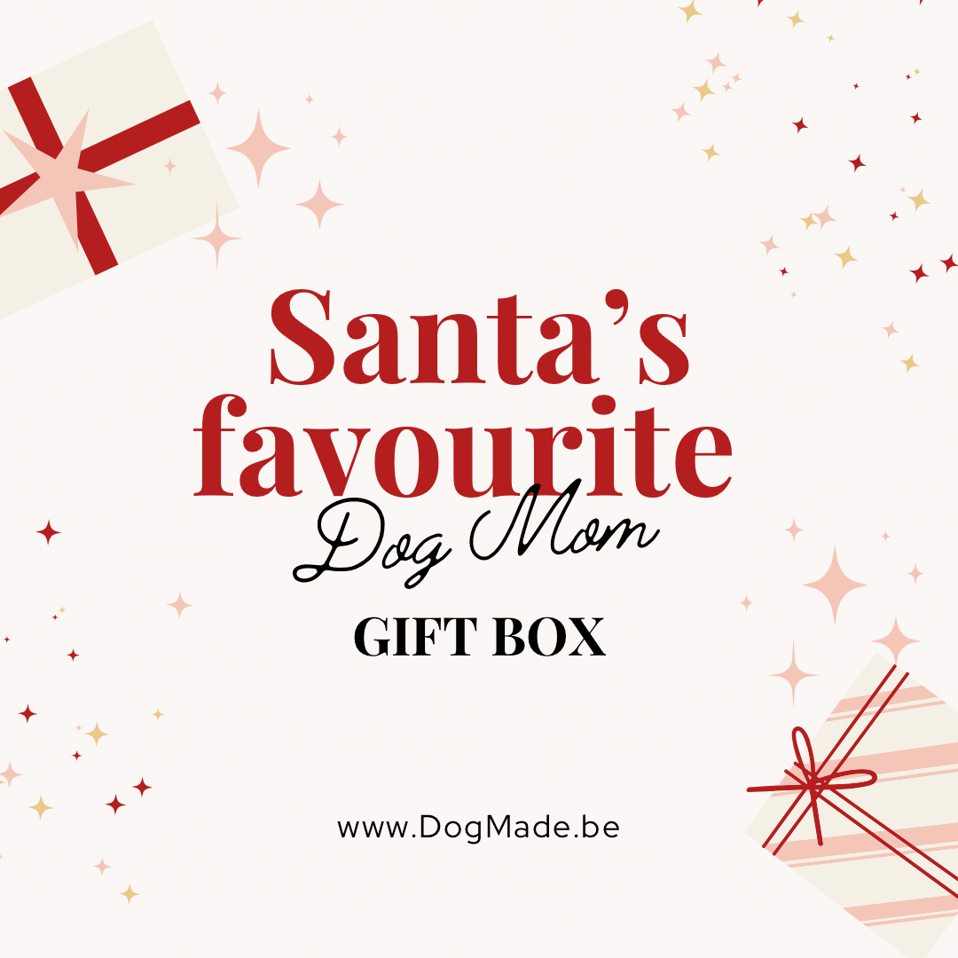 Santa's favourite Dog Mom gift box