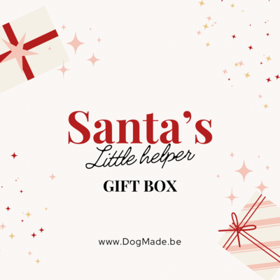 Santa's Little helper gift box