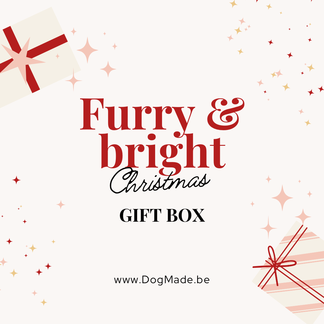 Furry & Bright Christmas gift box