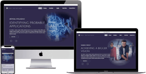 Business Analyst