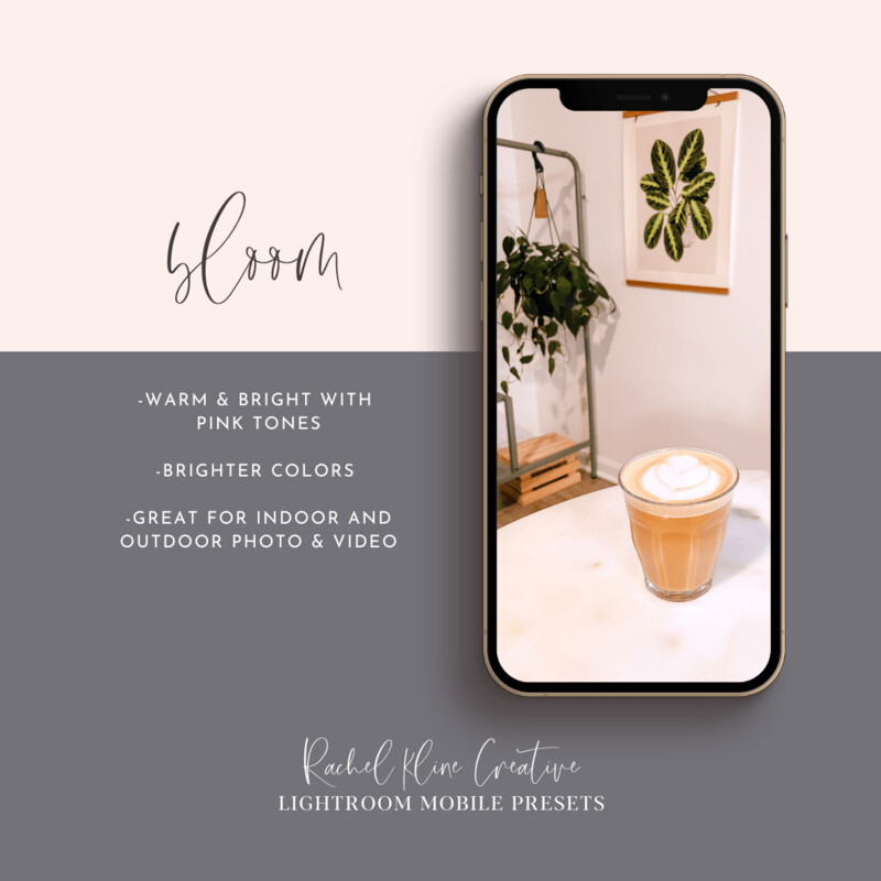 LightRoom Preset | BLOOM