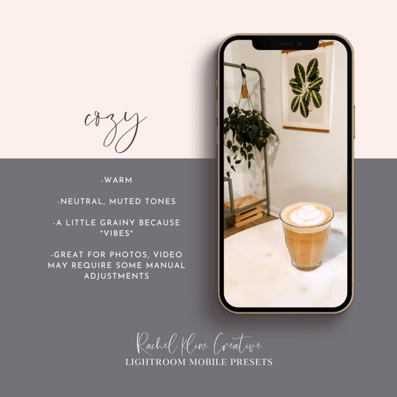LightRoom Preset | COZY