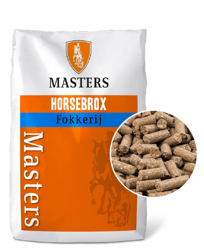 Masters Opfok
