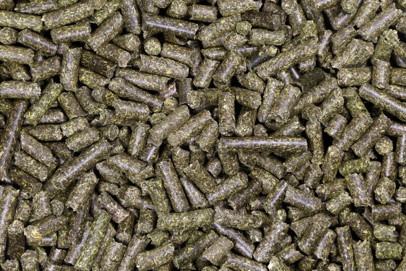 Equifyt Sainfoin Cubes 20kg