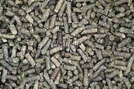 Equifyt Alfalfa Cubes