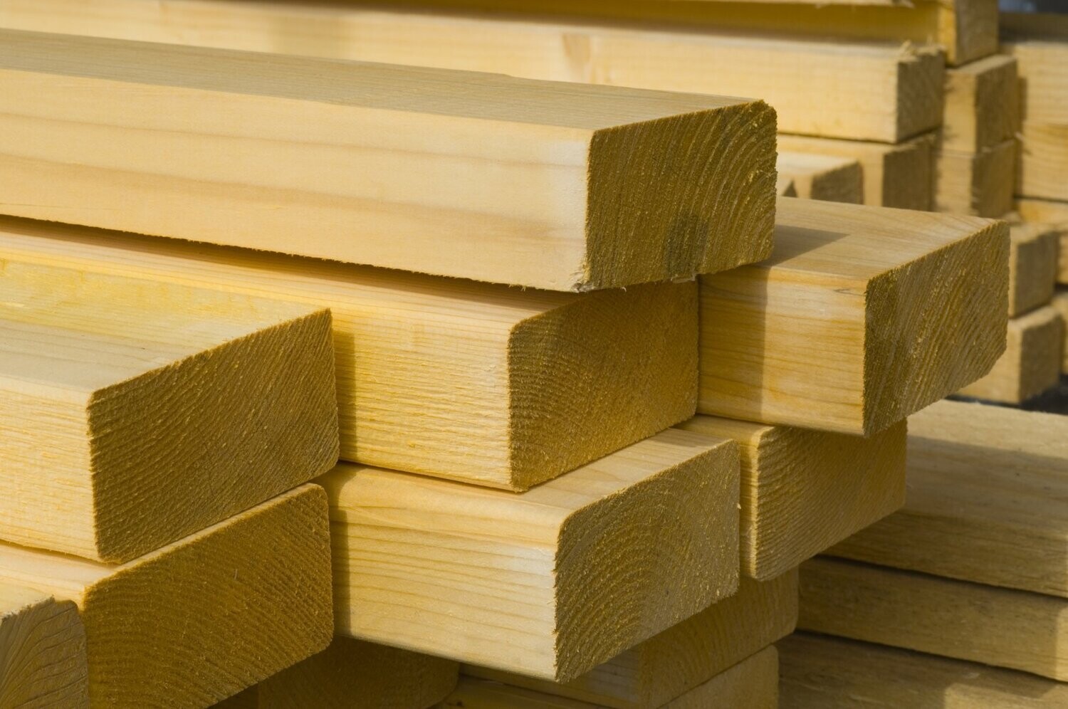 Timber