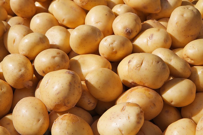 POTOTO   Per 1 Kg