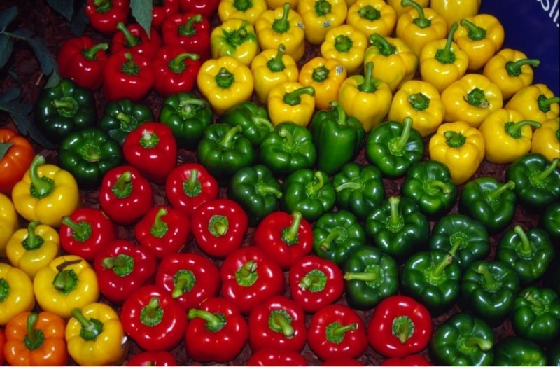 CAPSICUM
