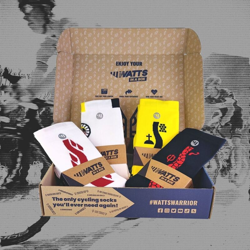 King of Spring - 4 Socks Bundle