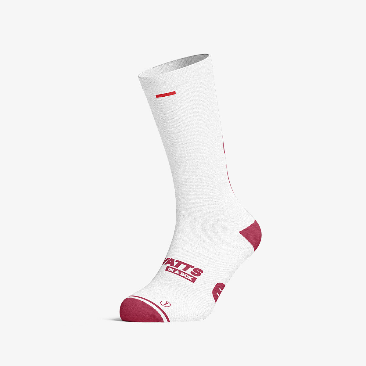 White Cypress Roads — white Strade Bianche cycling socks | Watts in a Box