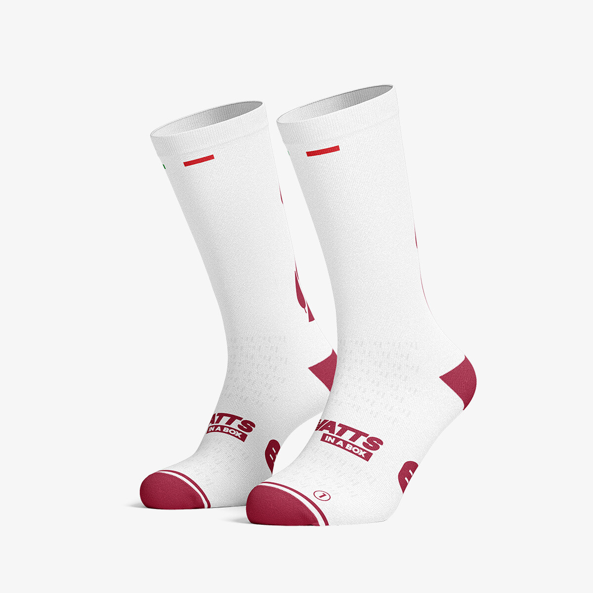 White Cypress Roads — white Strade Bianche cycling socks | Watts in a Box