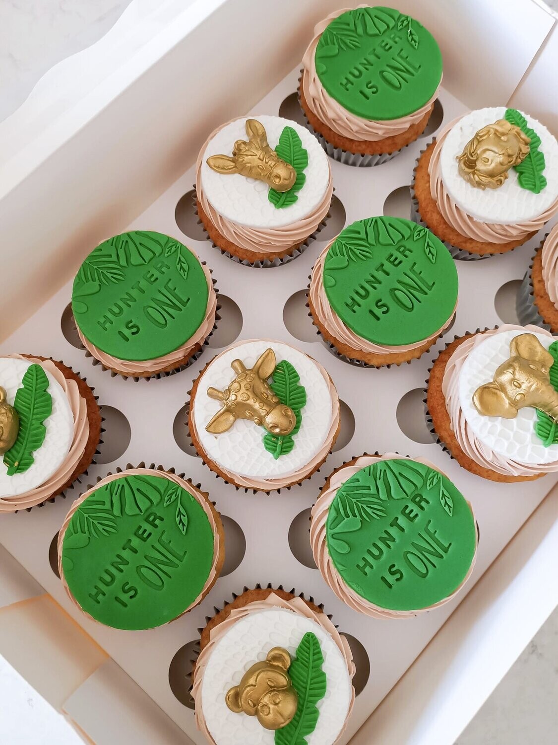 Wild One cupcakes