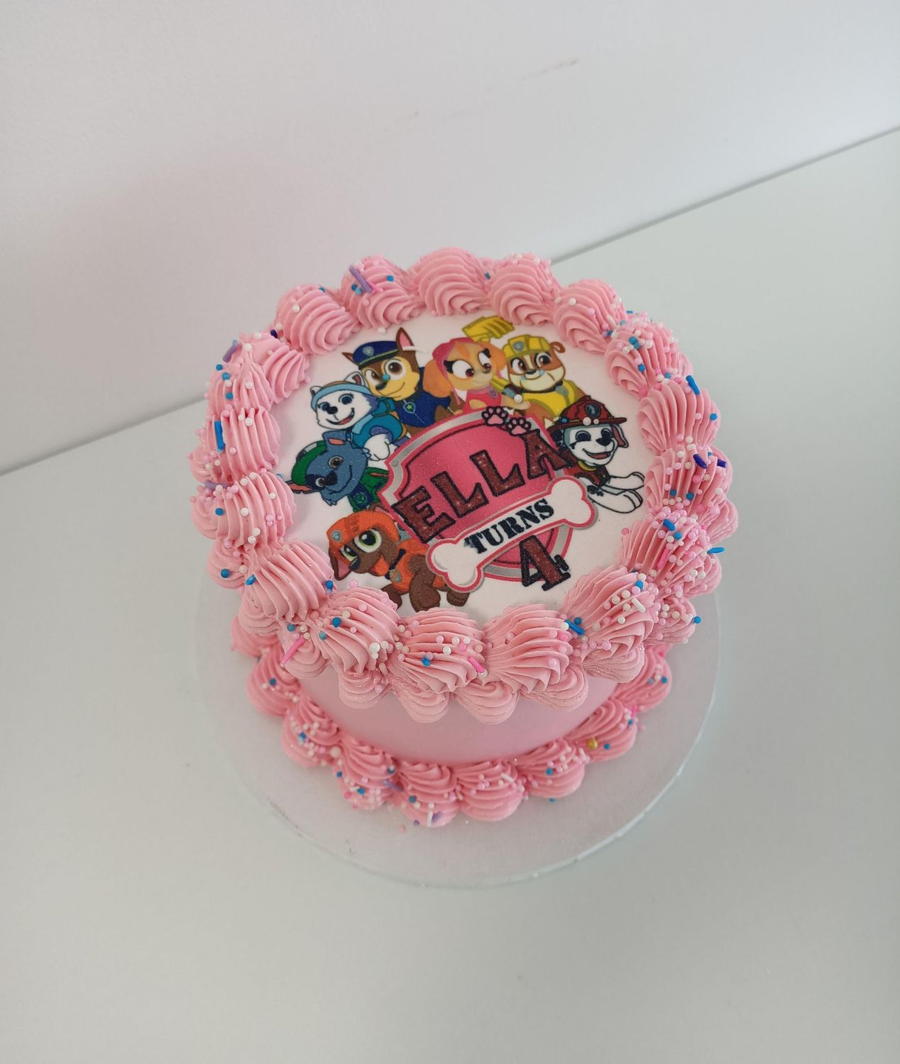 Paw Patrol Retro cake