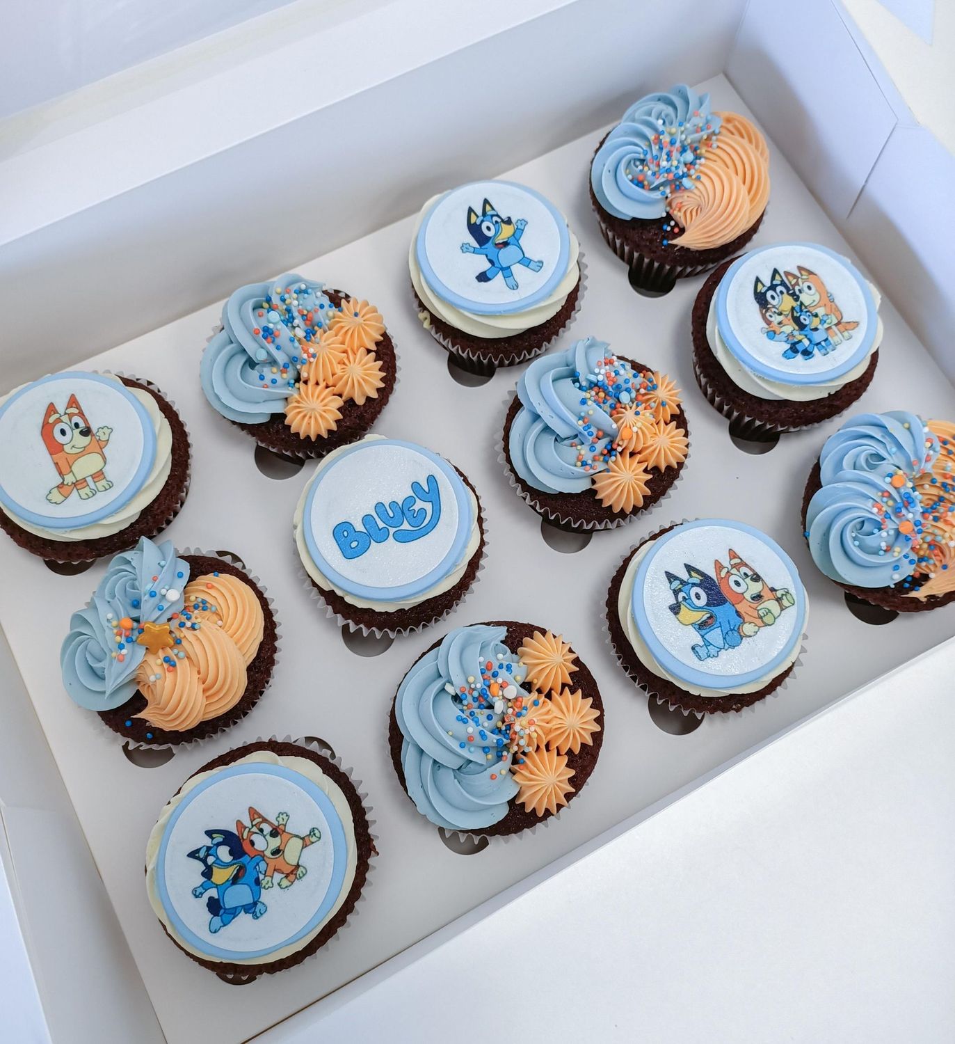 Bluey Cupcakes