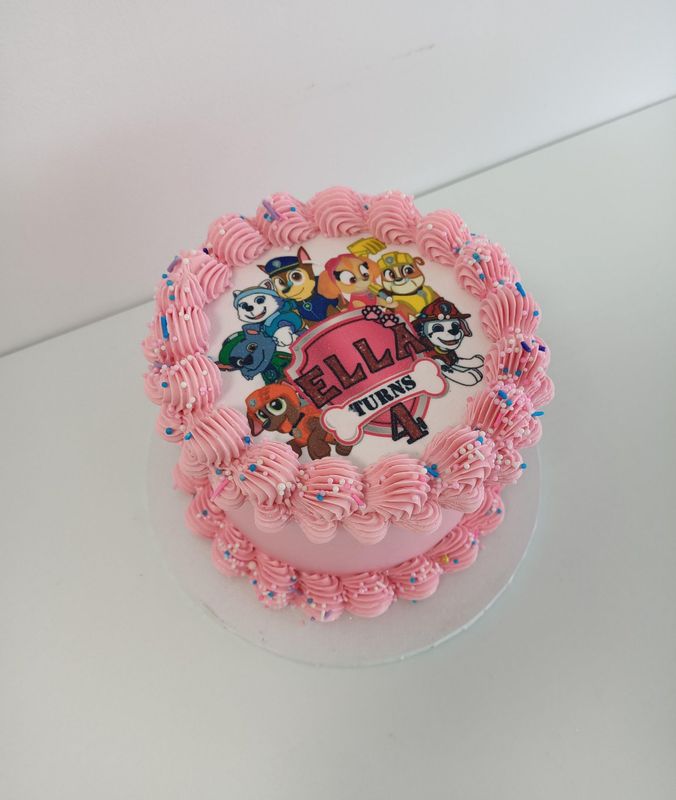Paw Patrol Retro cake