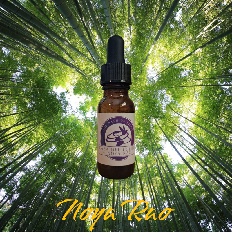 NOYA RAO ~ MotherVine Synergy  15ml NOYARAO extract