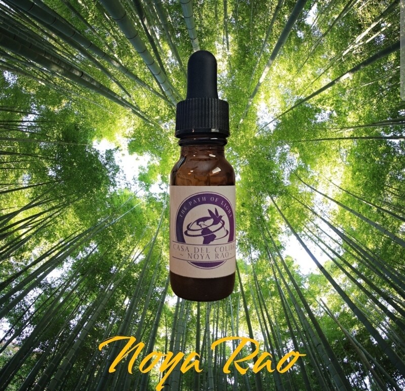 NOYA RAO x Mother Vine Synergy microextract