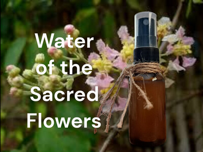 Sacred Water of the Flowers ~ premium Florida Water ~ Aqua de  Flor. 60ml