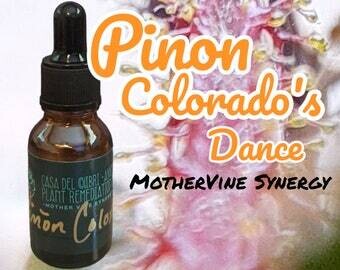 Pinon Colorado ~ MotherVine Synergy 15ml Jatropha gossypiifolia