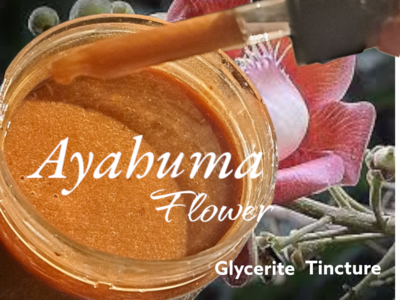 Ayahuma FLOWER Glycerite Tincture 30ml