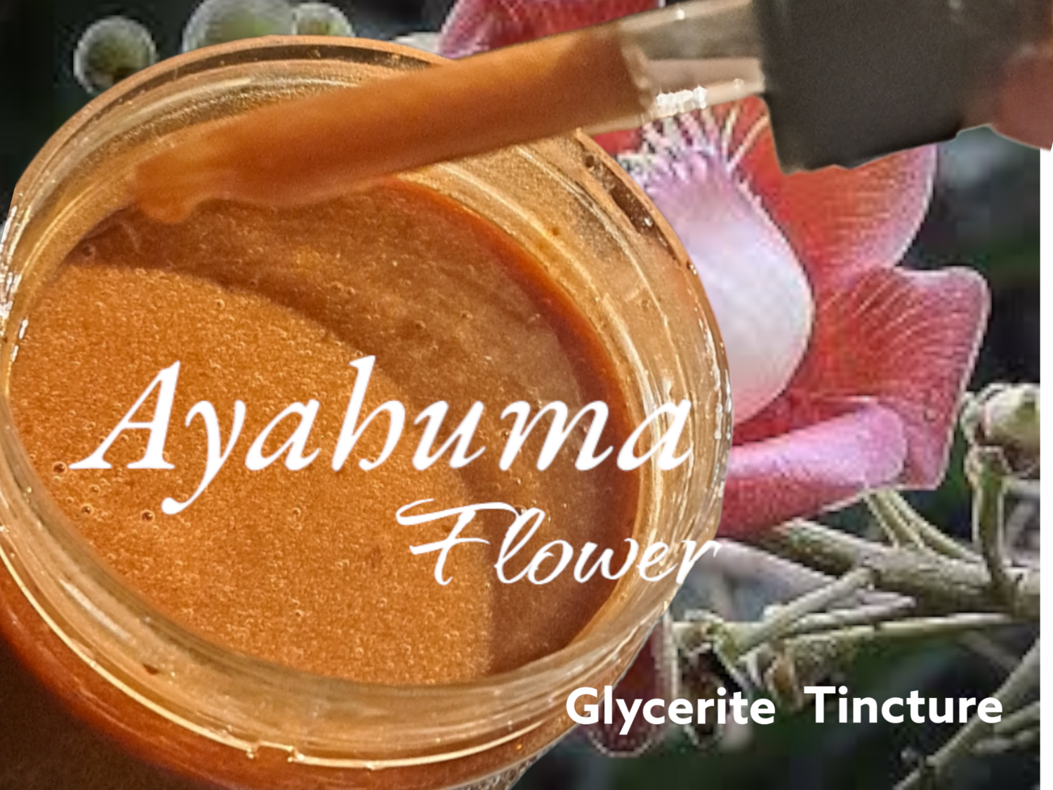 Ayahuma FLOWER Tincture 30ml