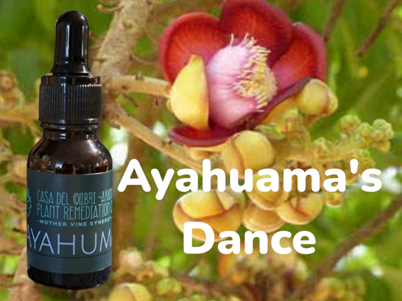 Ayahuma&#39;s Dance Mothervine Synergy microdose 15ml