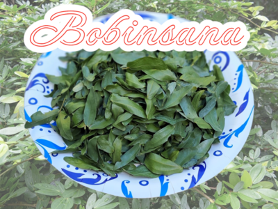 Bobinsana leaf dried 100 gram