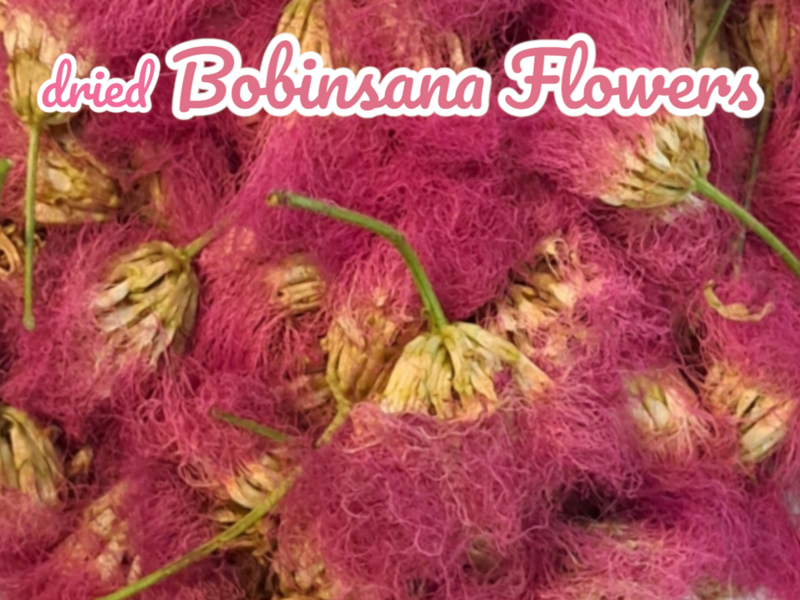 Dried Bobinsana Flowers 