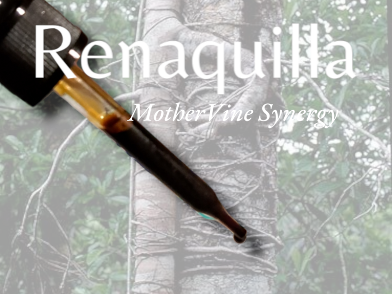 Renaquilla  Synergy