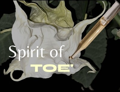 The Spirit of Toe' ~Flower Tincture 30ml