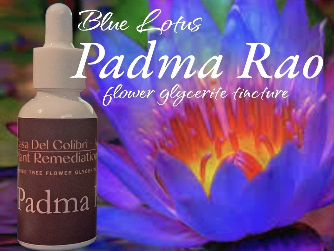 Blue Lotus Flower Tincture ~ PADMA RAO 30ml