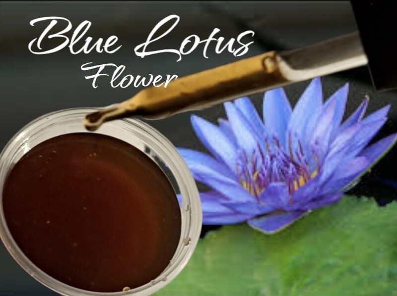 Blue Lotus Flower Tincture ~ PADMA RAO 30ml